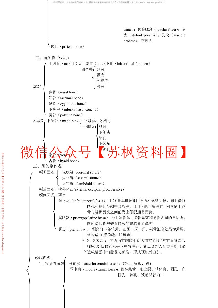 人体形态学(更新)